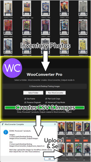WooConverter Pro